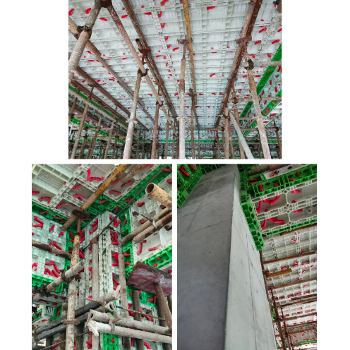 Longzhi Village Government Resettlement Housing